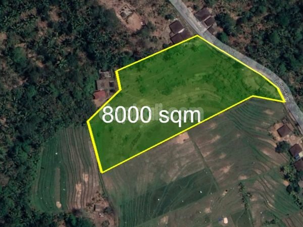 8000 sqm residential land with rice field overview in Selemadeg, Tabanan