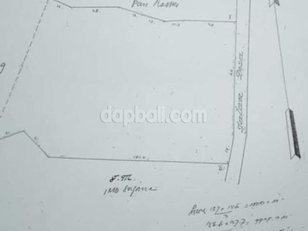 20632 - 10000 sqm ( 1 ha ) plantation land for sale in Antosari, Selemadeg Tabanan