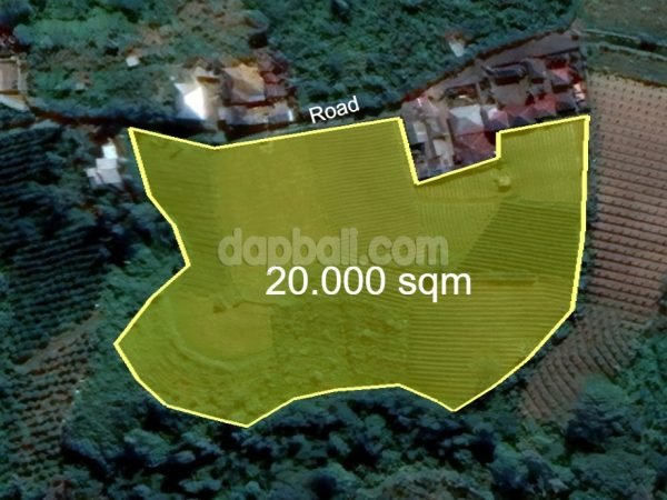 20834 - 20000 sqm plantation land for sale in Kintamani