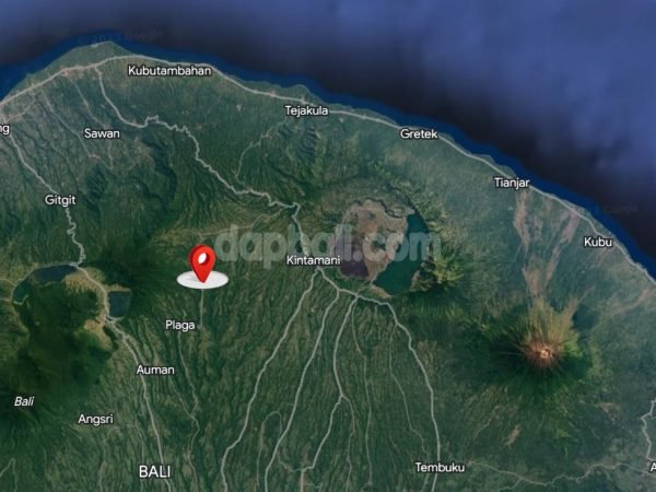 20848 - 24000 sqm ( 2.4 ha ) plantation land ( Arabica coffee ) for sale in Kintamani