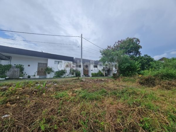 21537 - 390 sqm premium land for freehold sale in Kayu Tulang Selatan, Canggu