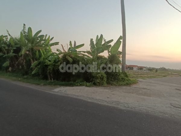 22079 - 3000 sqm premium land in Jl. Raya Munggu - Seseh