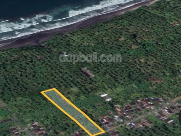 6000 sqm commercial land with walking distance to the beach of Pekutatan, Jembrana