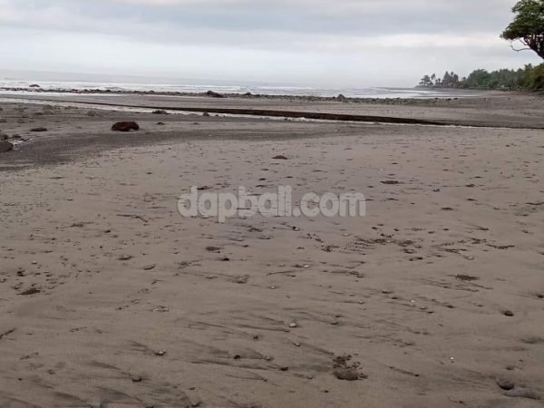 21505 - 5950 sqm ( 59.50 are ) beachfront land in Pantai Selabih Tabanan