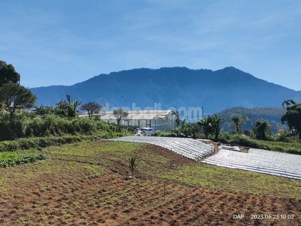 21661 - 3100 sqm lake view land in upper hill of Bedugul, Tabanan