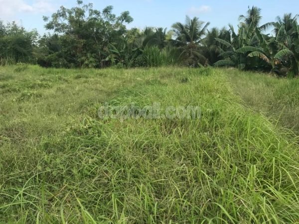 3000 sqm riverfront land for lease in Singakerta, Ubud