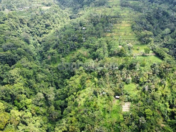 8889 sqm stunning land with jungle and river view in Taro, Tegallalang, Gianyar