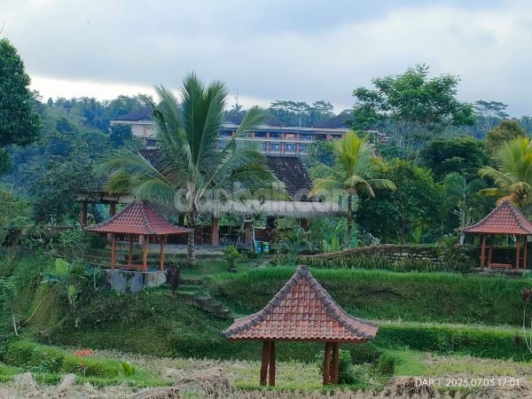 22207 - 16.000 sqm ( 1,6 ha ) huge land in Taro, Tegal Lalang, Gianyar