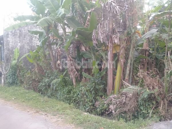 22151 - 250 sqm leasehold land located in Kerobokan kaja kuta utara