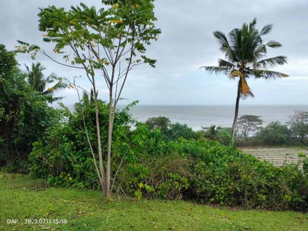 22803 - 6600 sqm semi-cliff top land in Balian beach area, Tabanan