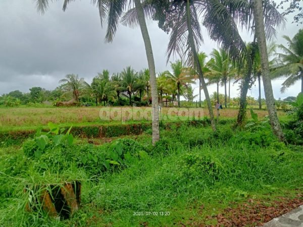 22196 - 2000 sqm tranquil land with greeny scenery of Nyambu, Kediri