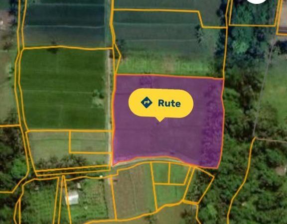 23027 - 2000 sqm vacant land for freehold sale in Pejeng, Ubud