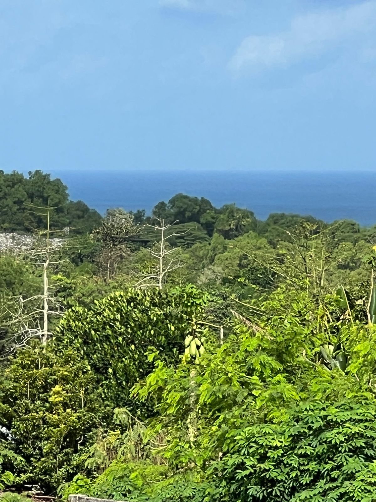 23054 – 6800 sqm sea view land in Jl. Belimbing Sari, Pecatu, Bali