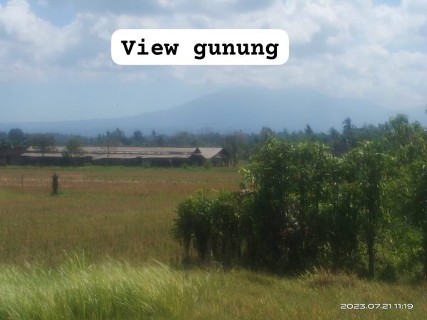 23276 - 150 sqm exotic land in kerambitan tabanan