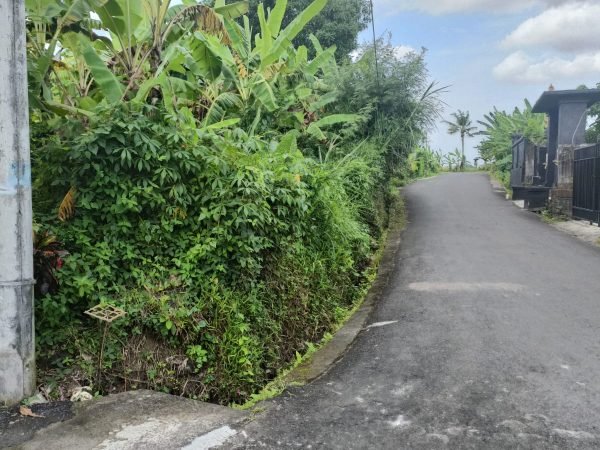 22758 - 1160 sqm vacant land in an appealing area in Tumbak Bayuh