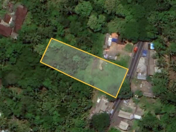 23685 - 1780 sqm plantation land in the main road of Jl. Denpasar - Gilimanuk, Tabanan