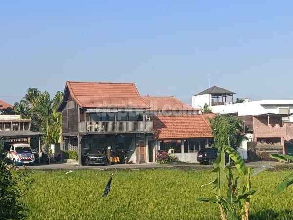 400 sqm land ( Small plots )  for sale in prime location at Canggu, Bali