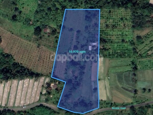 25320 - 10,970 sqm land with green hills view for sale in Petang, Badung, Bali