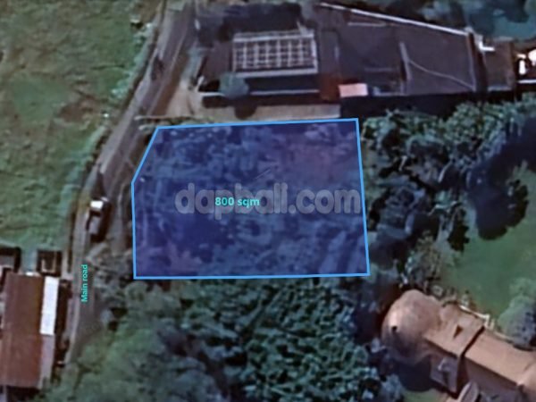 25800 - 800 sqm super prime land for freehold at Padang Linjong, Canggu, Bali