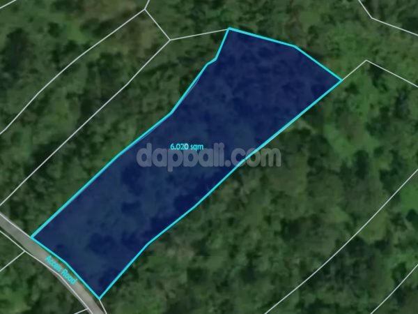 25237 - 6020 sqm farming land for sale in a strategic area of Jatiluwih, Tabanan, Bali