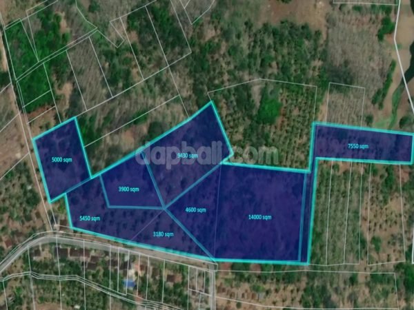 Extensive farm land of 5,3 Ha for sale in Melaya, Negara, Jembrana, Bali