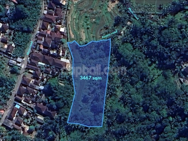 Exquisite environment of 3,467 sqm land for sale in Payangan, Ubud, Gianyar, Bali