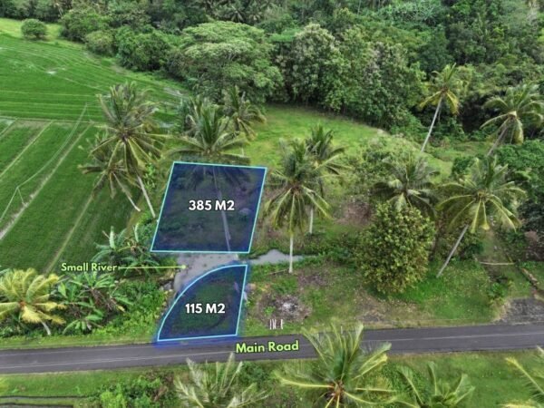 26485 - 500 sqm land with rice fields, mountain and ocean views in Bengkel Sari, Tabanan, Bali