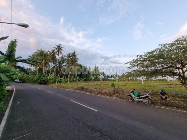 26969 - 2,000 sqm land for sale with rice view located in the area Ciputra Resort, Tabanan, Bali