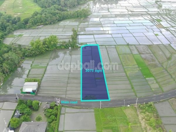 26962 - 3,075 sqm land with idyllic rice fields view in Kedungu, Tabanan, Bali