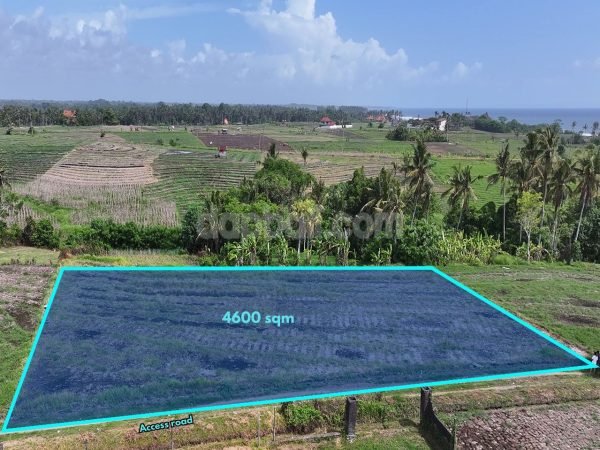 28073 - 4,600 sqm farming land for sale with panoramic views in Kelecung, Tabanan, Bali