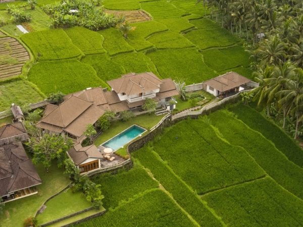 28376-Beautiful villa in the middle of rice fields for sale in Pejeng, Tampaksiring, Gianyar, Bali