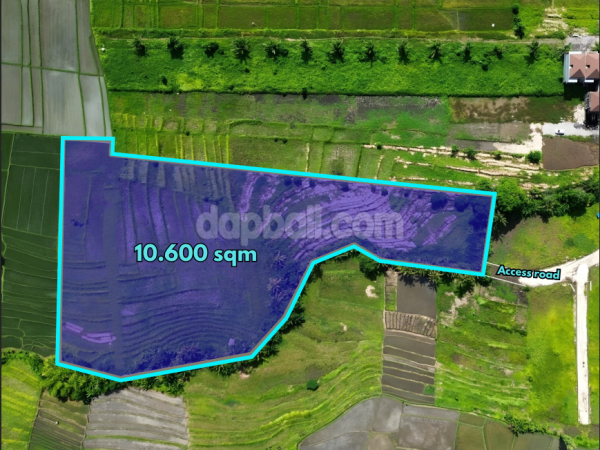 Idyllic prime land of 10,600 sqm with greenbelt view for sale in Kedungu, Tabanan, Bali