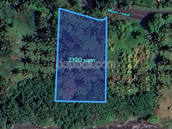 Exotic beachfront land of 2,100 sqm for sale at Pekutatan, Jembrana, Bali