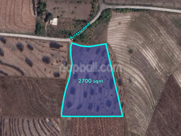 30907 - 2,700 sqm land with Rice field and Ocean views for sale within walking distance to Kelecung beach in Tabanan, Bali