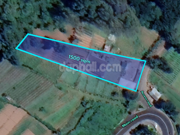 31939 - 1,500 sqm land with bonus villa offers panoramic nature view of Bedugul, Baturiti