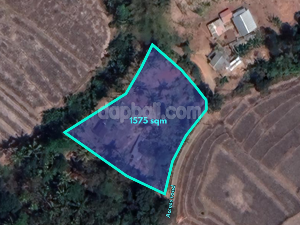 32171 - Premium land of 1,575 sqm with full rice fields view for sale in Beraban, Selemadeg Timur