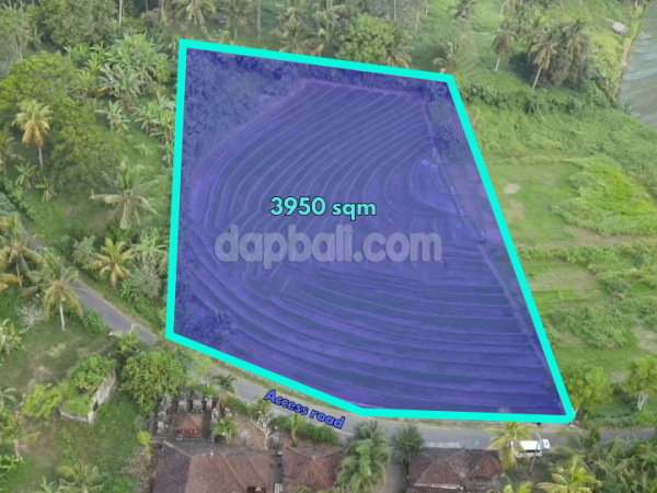 32100-3,950 sqm land surrounded by rice fields for sale near Bonian beach, Soka, Tabanan, Bali