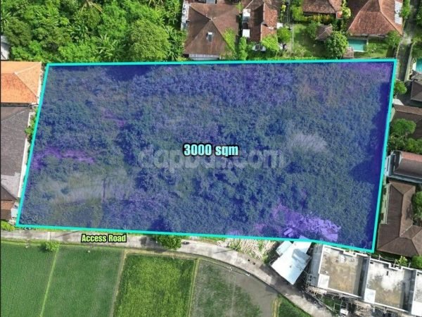 33195- Idylic surroundings of 3,000 sqm land for lease within walking distance to Kedungu beach, Tabanan, Bali