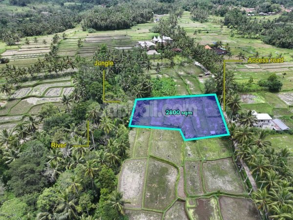 32716 - 2,800 sqm beautiful land consists of 4 plots for sale in Kelusa, Ubud, Bali