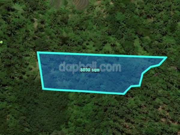 32808 - Enchanting riverside land of 8,000 sqm for sale amidst lush jungle at Gunung Salak, Tabanan, Bali