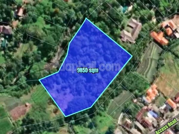 33649 - 9,850 sqm riverside land for sale in Munggu, Cepaka, Tabanan, Bali