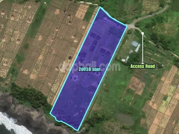 34134 - 20,028 sqm exotic beachfront land with rice field view for sale in Pangkung Tibah, Tabanan, Bali