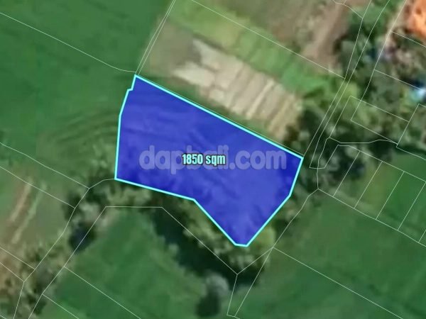 33817 - Exclusive plots of Villas complex with total land area of 1850 sqm for sale in Kedungu, Tabanan, Bali