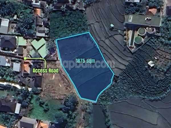 33753 - 1,895 sqm land with rice fields view for sale in Buduk, Mengwi, Badung, Bali