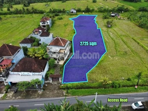 33524 - Beautiful land of 2,725 sqm with rice field view for sale in Ubud area, Gianyar, Bali