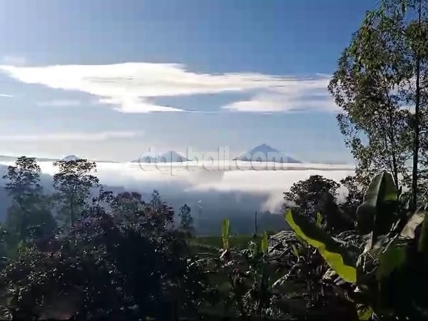 33643 - 1,000 sqm idyllic surrounding land with Mountain and Lake views for sale in Baturiti, Tabanan, Bali