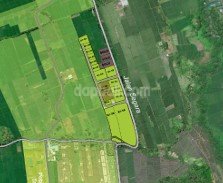 34150 - Exclusive plots with total land area 2.45 Ha for sale in Pangkung Tibah, Tabanan, Bali