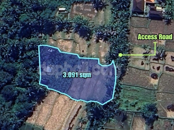 35480 - 3.091 sqm land amidst rice fields for 25 - 30 years lease in Kelusa, Ubud, Gianyar, Bali