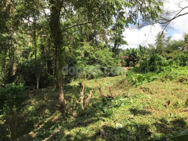 36001 - Prime land or 3,000 sqm for sale in Singakerta which side by side with Rusters Ubud, Gianyar, Bali