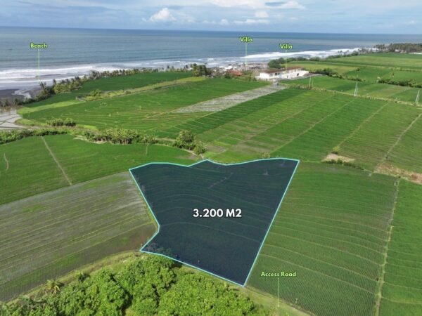 36289 - 3,200 sqm land with idyllic surroundings of rice fields for sale only 200m to the beach in Tibubiu, Tabanan, Bali